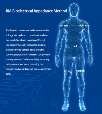 Ultrasonic Height Weight Scale Body Composition Analysis Machine