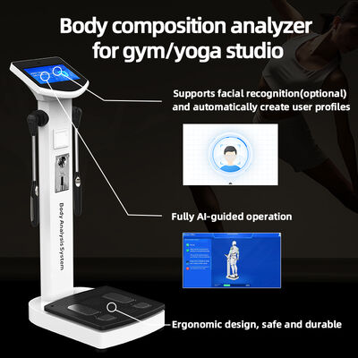 Popular Body Analysis Machine Comprehensive Analysis Body Status BMI Fat Machine