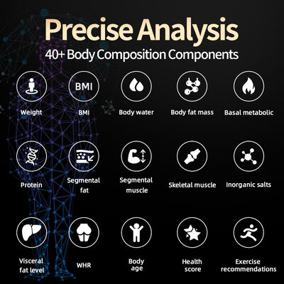 Body Nutrition Analyzer Scanner Segmental Body Composition Analyzer 8-Electrode BIA Fat Percentage Fitness Machine