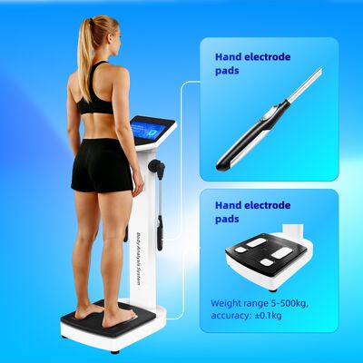 Hot Sale Body Fat Scale Analyzer Machine Body 270 Body Composition Analyzer Use in Clinic Fitness Club