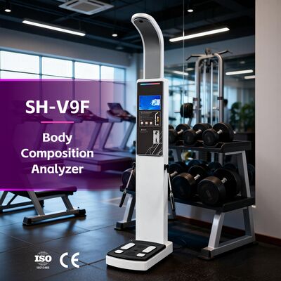 Fitness Center Kullanım Vücut Bileşimi Analizi BMI Vücut Yağ ve Kas Tarama Vücut Analizörü OEM Vücut Analizörü